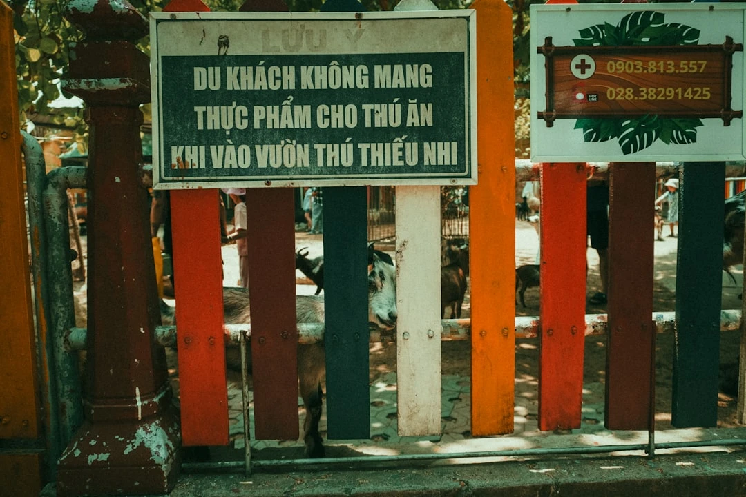 Biển số xe ô tô mới tại Việt Nam với ký hiệu địa phương.