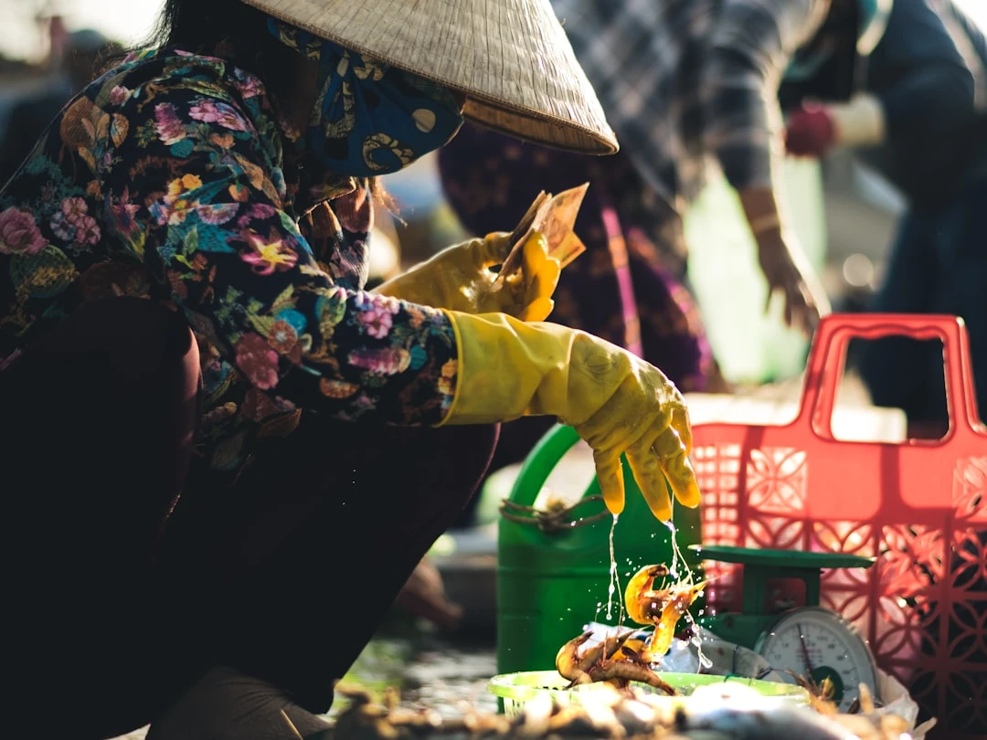 Phân tích chi phí và lợi ích mua xe ô tô cũ.